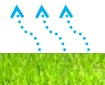 Evapotranspirao ( mm )